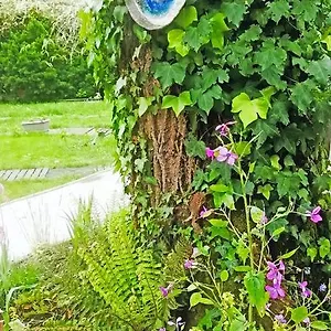 https://mirguet-au-jardin.midi-pyreneeshotels.com